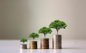 financial sustainability